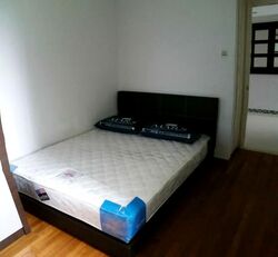 Simei Green Condominium (D18), Condominium #566575691